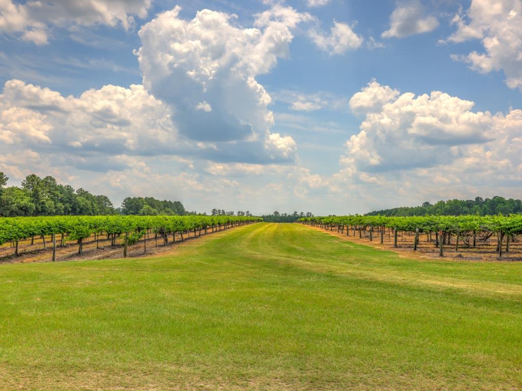 Jarrell Farm Retreat Photo