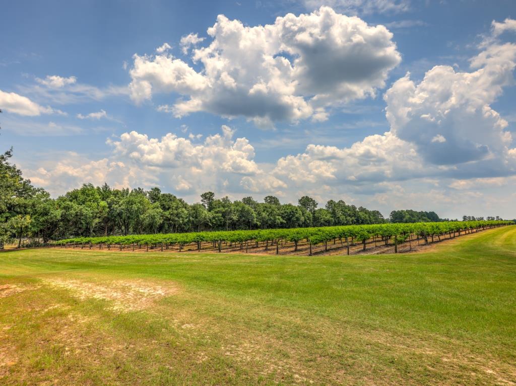 Jarrell Farm Retreat Photo