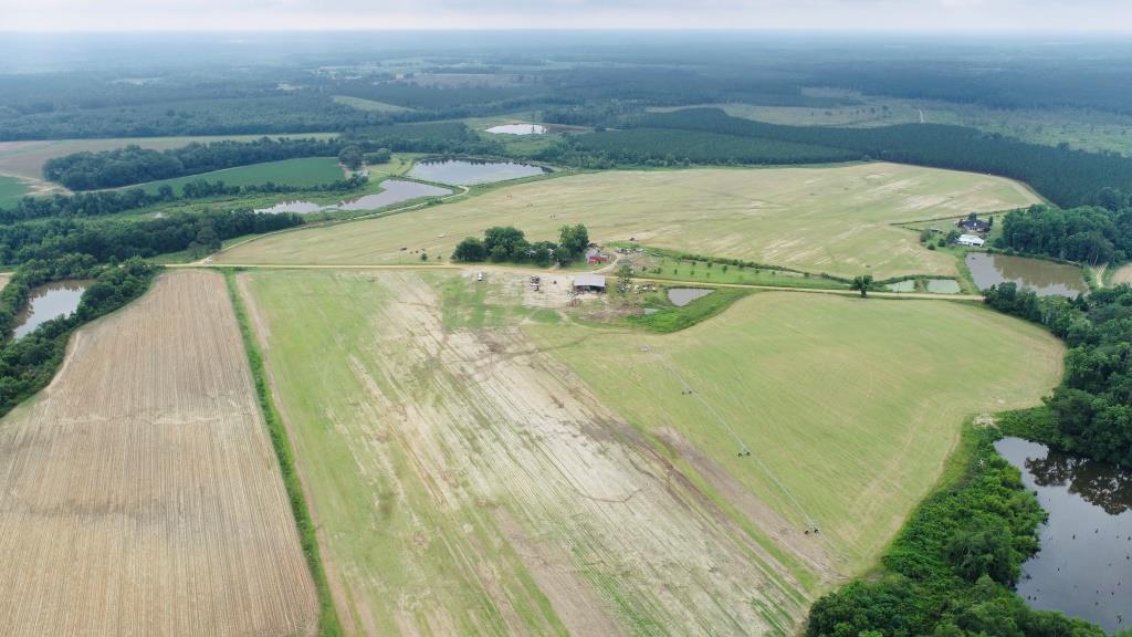 Cobbtown Farm Photo