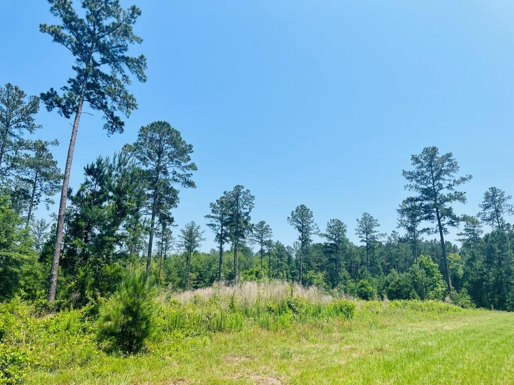 Old Louisville Road Tract Photo