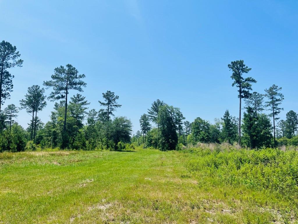 Old Louisville Road Tract Photo