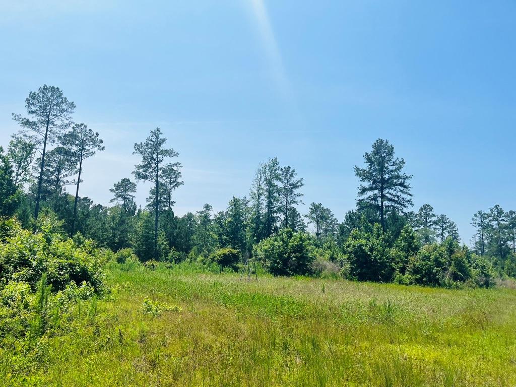 Old Louisville Road Tract Photo