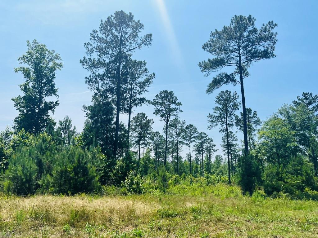 Old Louisville Road Tract Photo