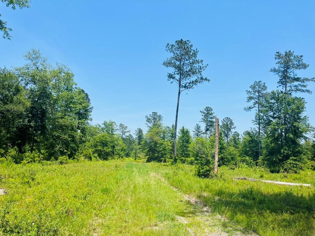 Old Louisville Road Tract Photo