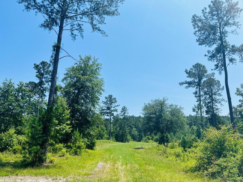 Old Louisville Road Tract Photo