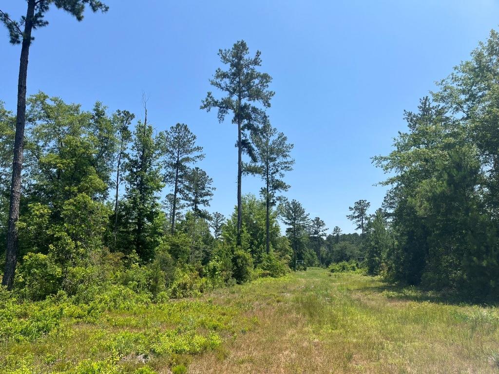 Old Louisville Road Tract Photo