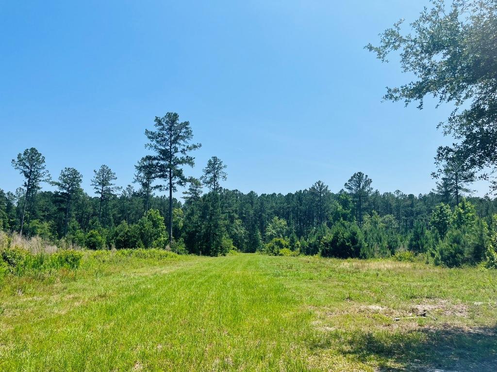 Old Louisville Road Tract Photo