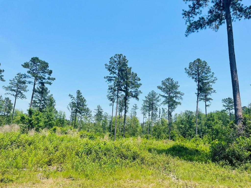 Old Louisville Road Tract Photo