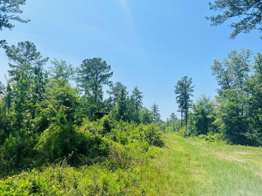 Old Louisville Road Tract Photo