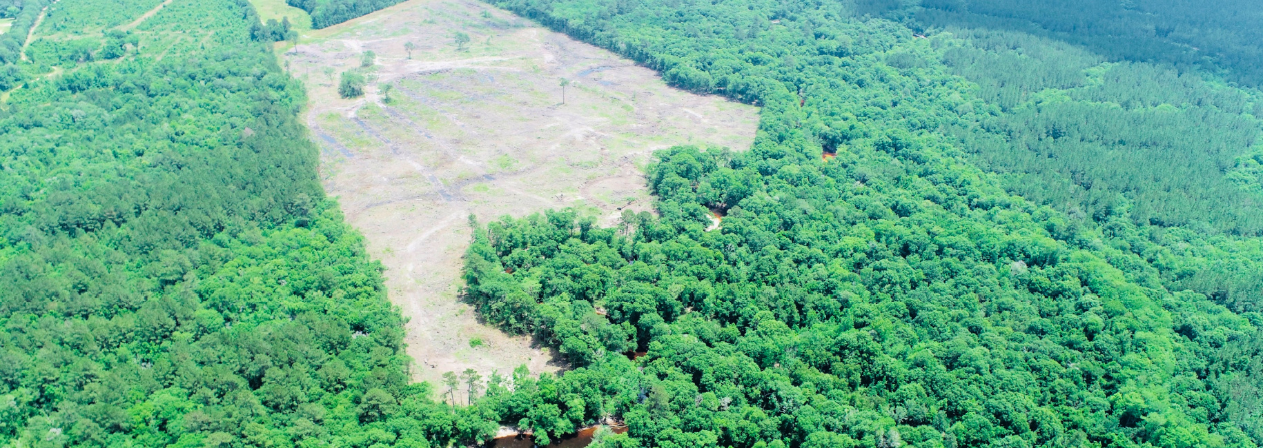 Alapaha River Homeplace Main Photo