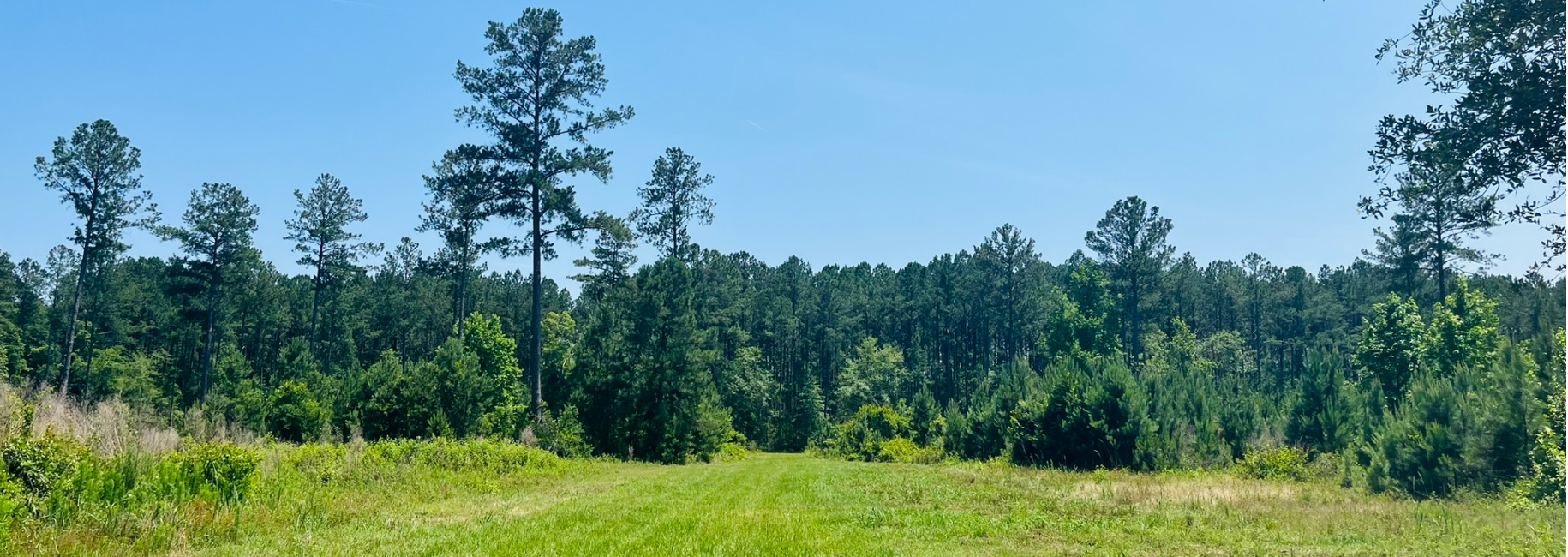 Old Louisville Road Tract Main Photo