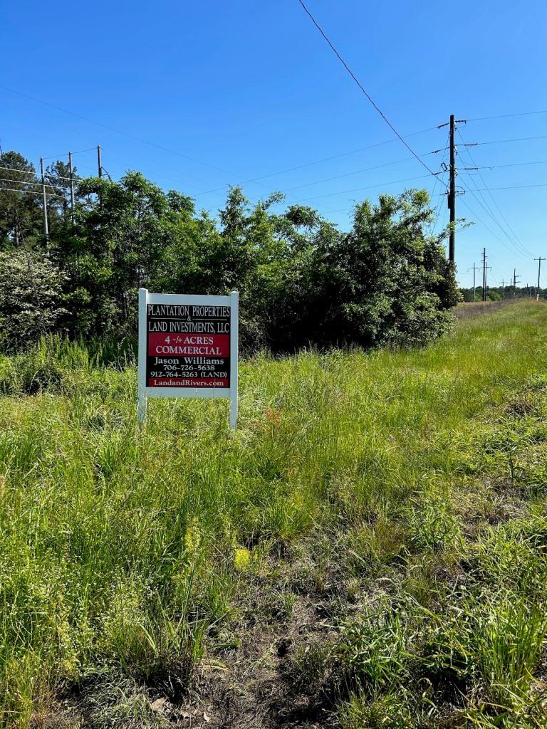 Commercial Lot in Bulloch County Photo