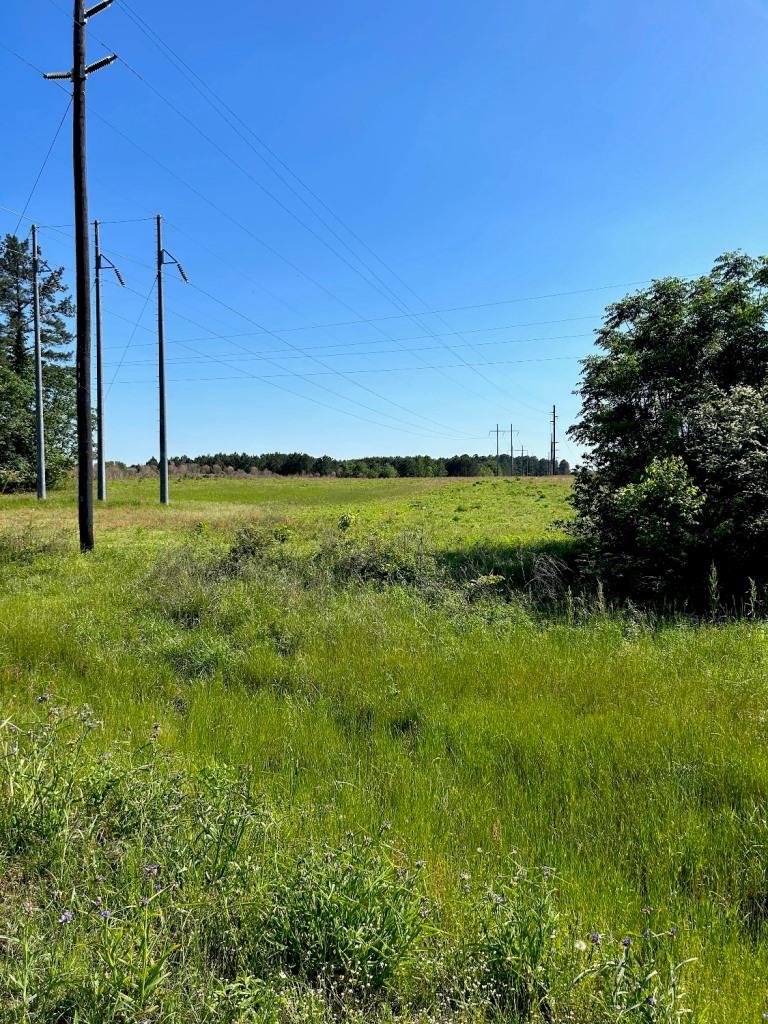 Commercial Lot in Bulloch County Photo