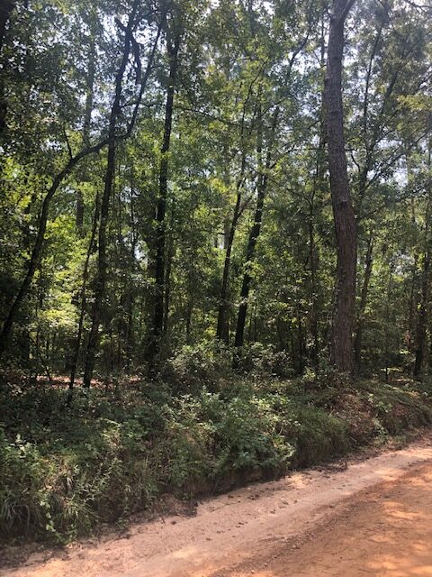 Mill Creek Homesite Photo