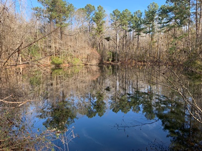 Peach Orchard Road Photo