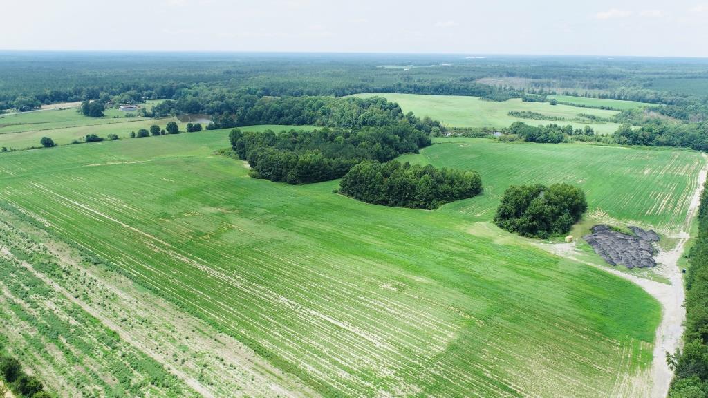 Little Brier Creek Farm Photo