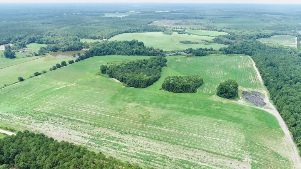 Little Brier Creek Farm Photo