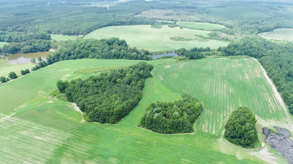 Little Brier Creek Farm Photo