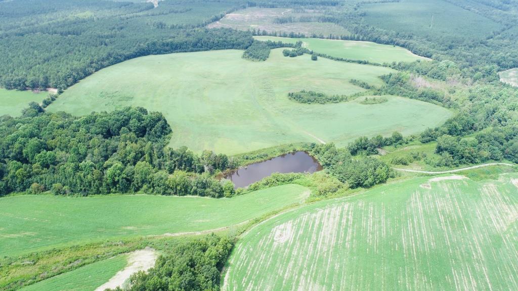 Little Brier Creek Farm Photo