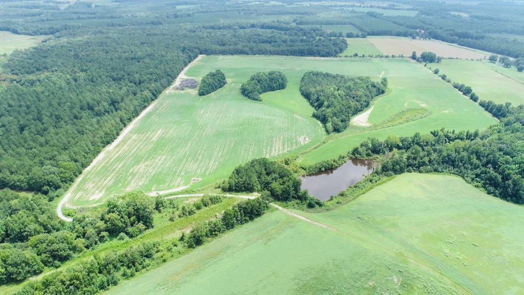 Little Brier Creek Farm Photo