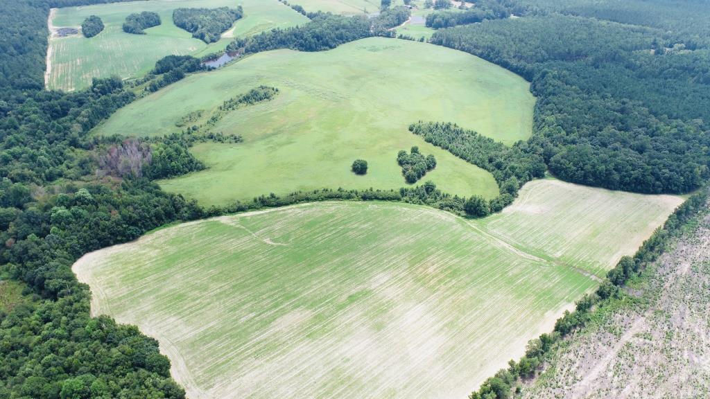 Little Brier Creek Farm Photo