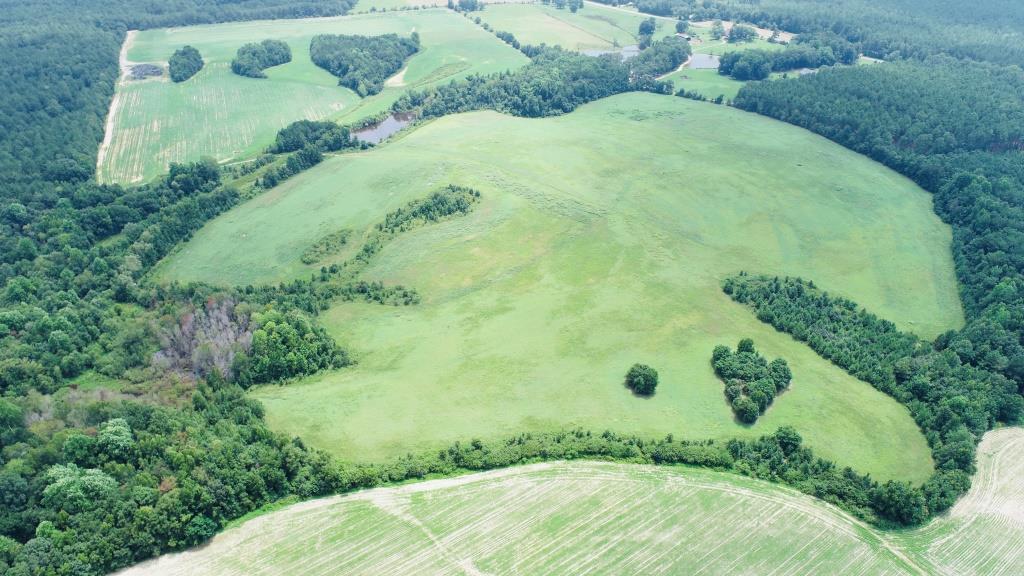 Little Brier Creek Farm Photo