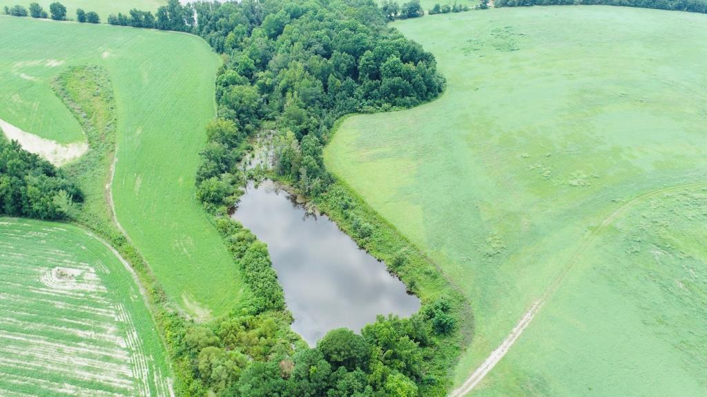 Little Brier Creek Farm Photo