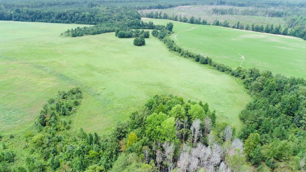 Little Brier Creek Farm Photo