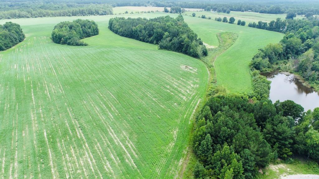 Little Brier Creek Farm Photo