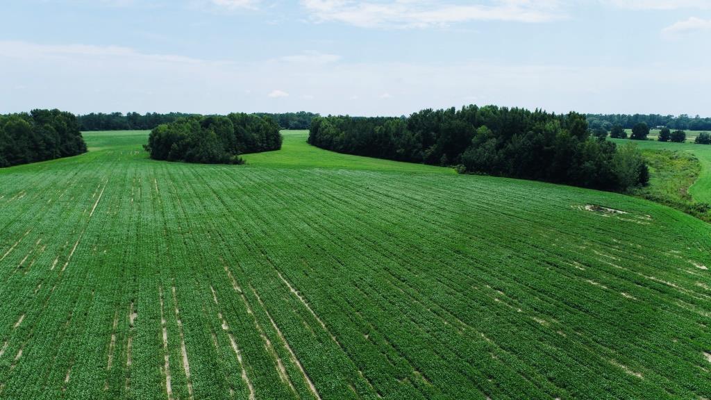 Little Brier Creek Farm Photo