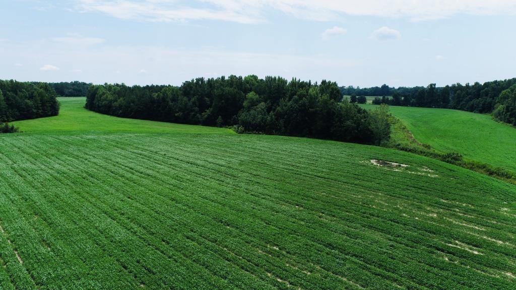 Little Brier Creek Farm Photo