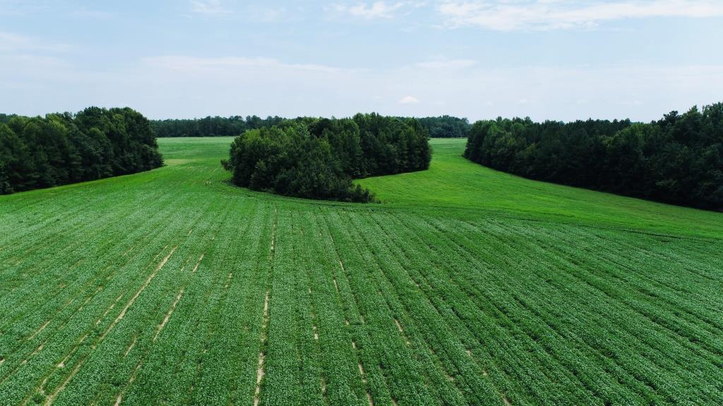 Little Brier Creek Farm Photo