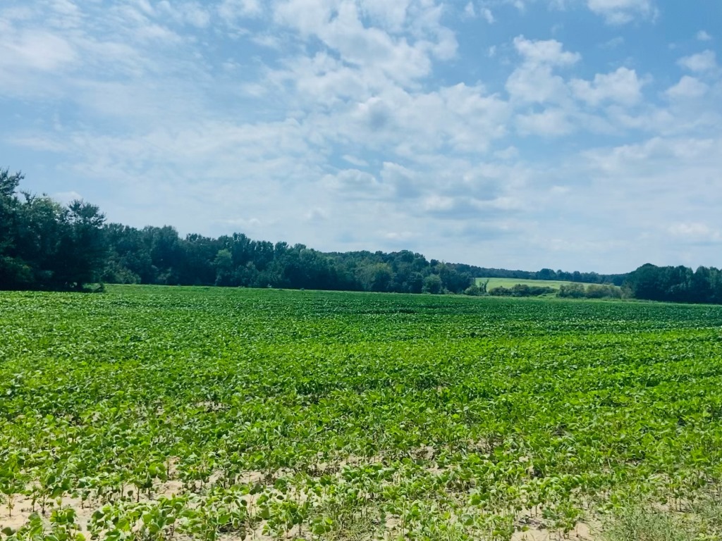 Little Brier Creek Farm Photo