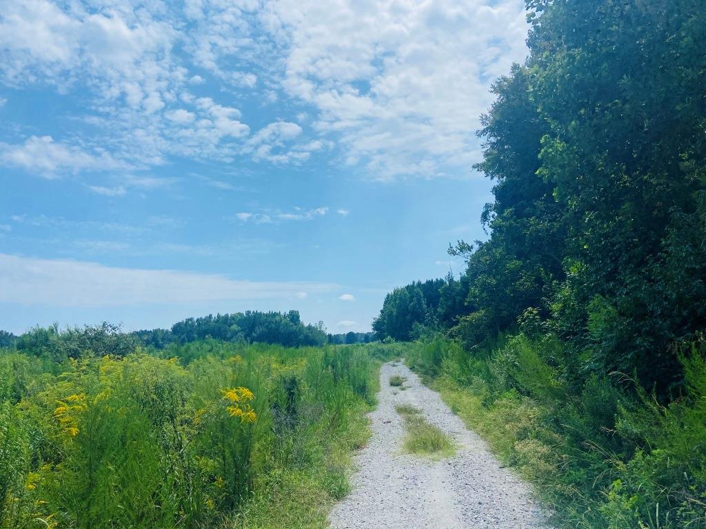 Little Brier Creek Farm Photo