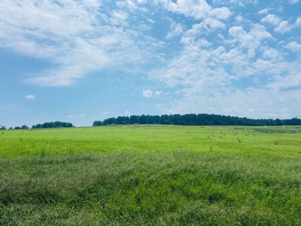 Little Brier Creek Farm Photo