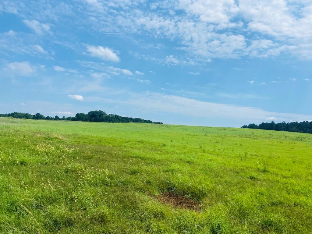 Little Brier Creek Farm Photo