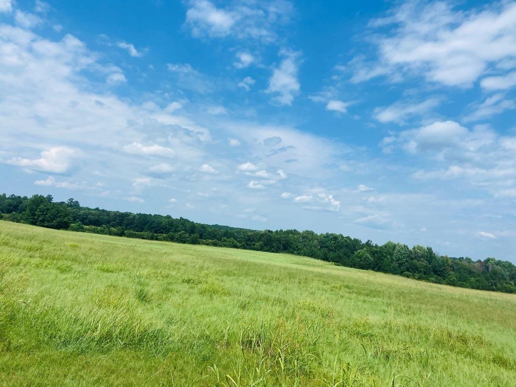 Little Brier Creek Farm Photo