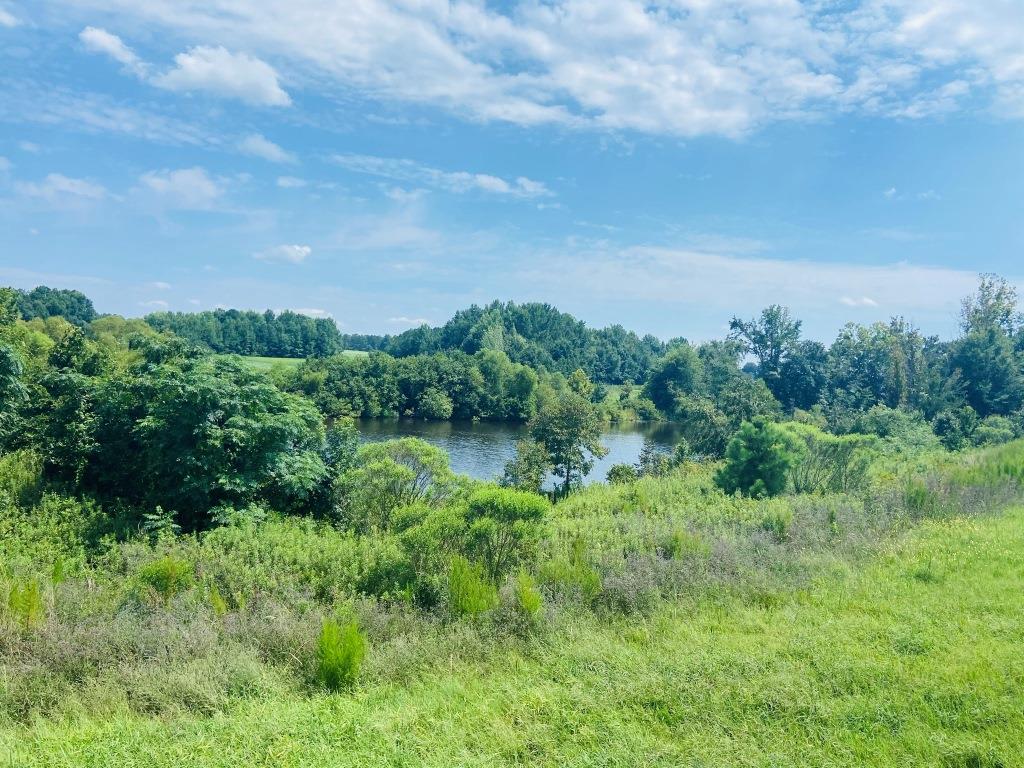 Little Brier Creek Farm Photo