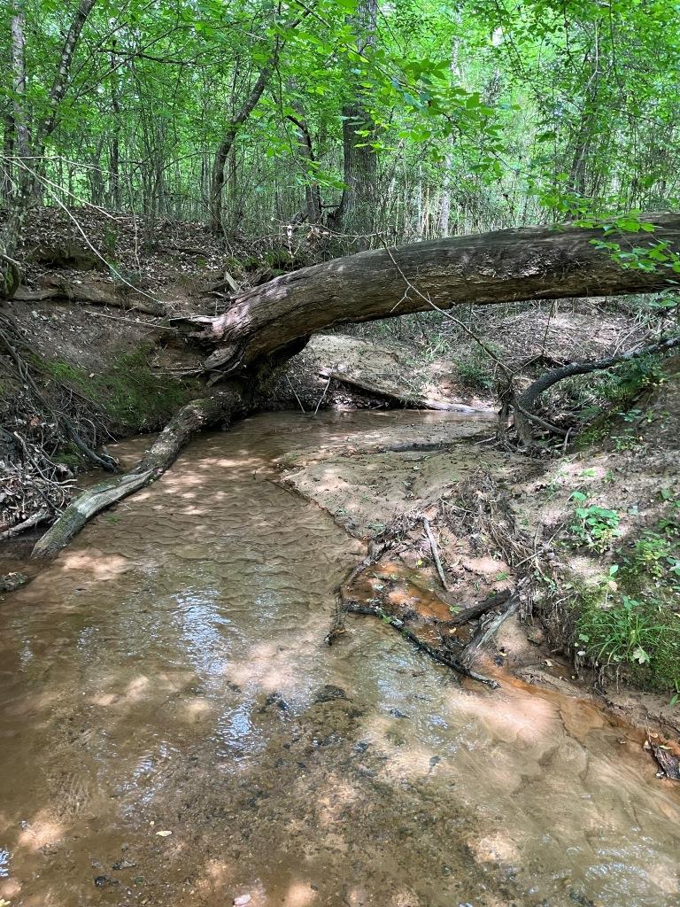 Little Camp Creek – Parcel B Photo