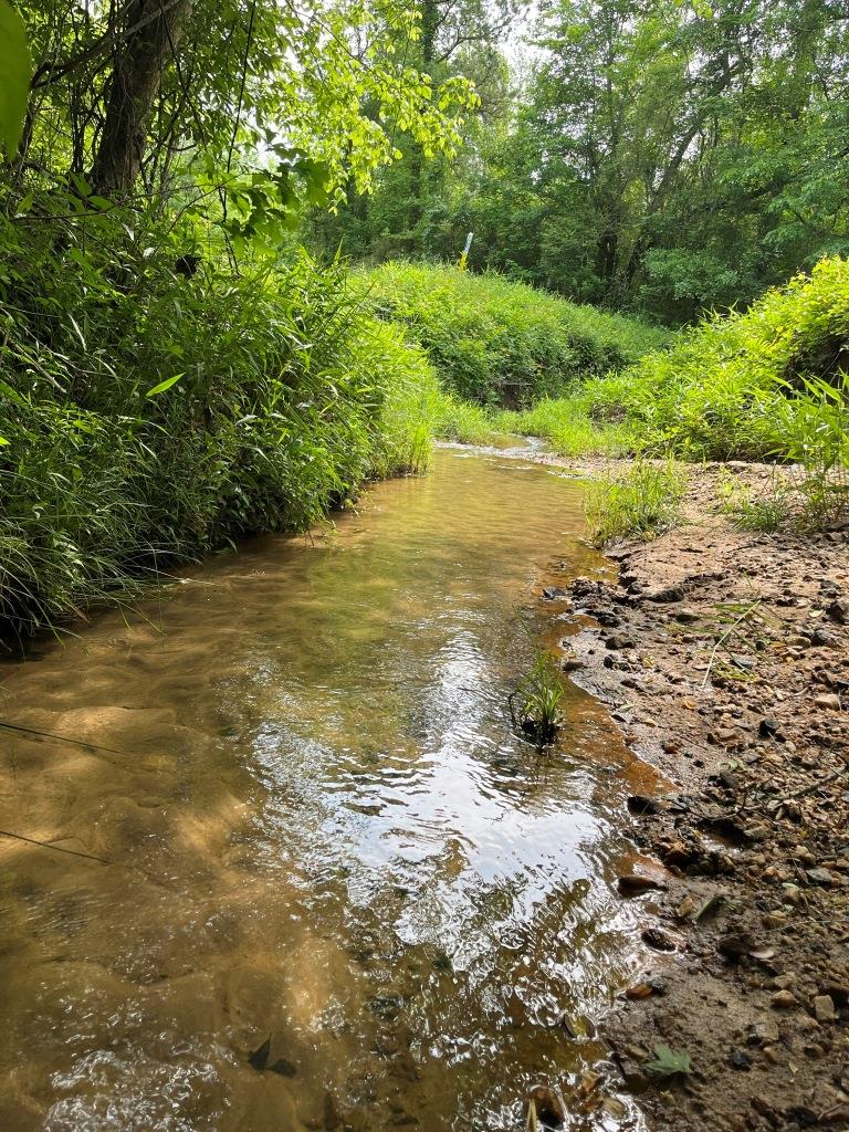 Little Camp Creek – Parcel B Photo