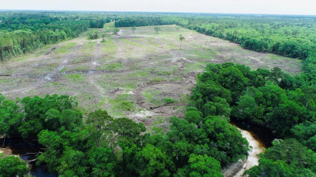 Alapaha River Homeplace Photo