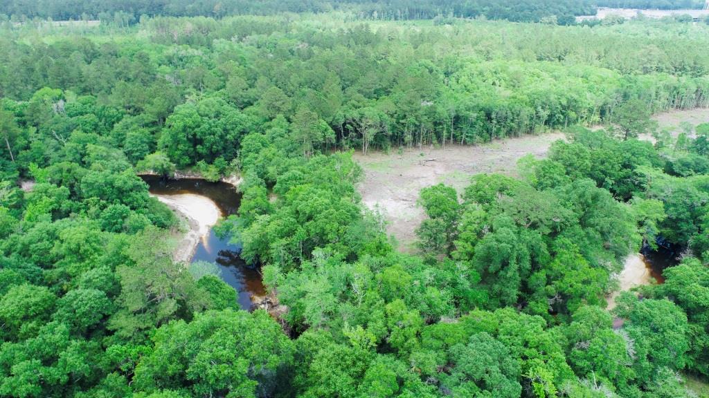 Alapaha River Homeplace Photo