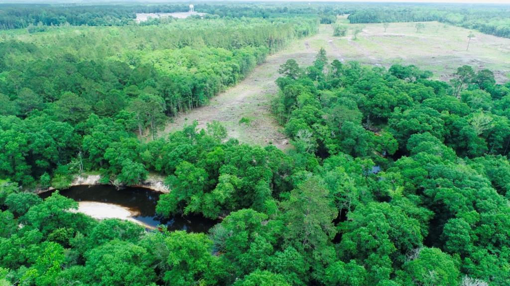 Alapaha River Homeplace Photo