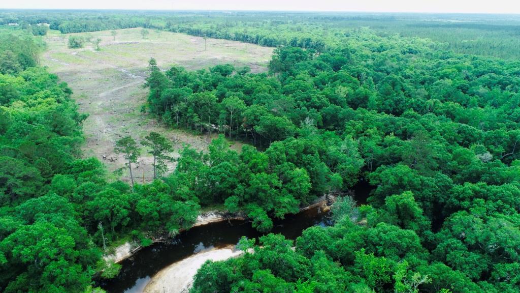 Alapaha River Homeplace Photo