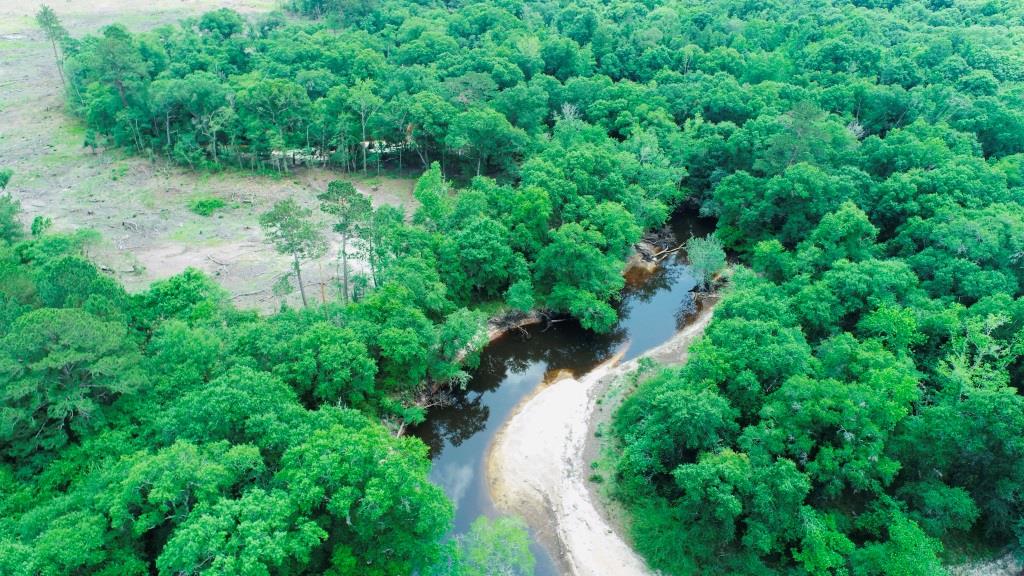 Alapaha River Homeplace Photo