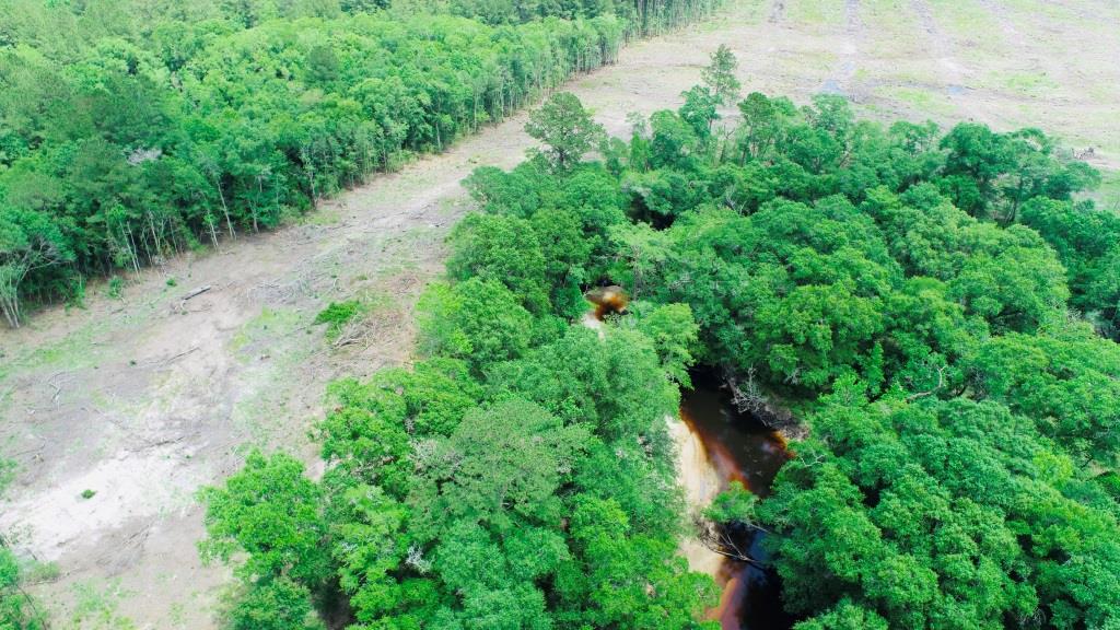 Alapaha River Homeplace Photo