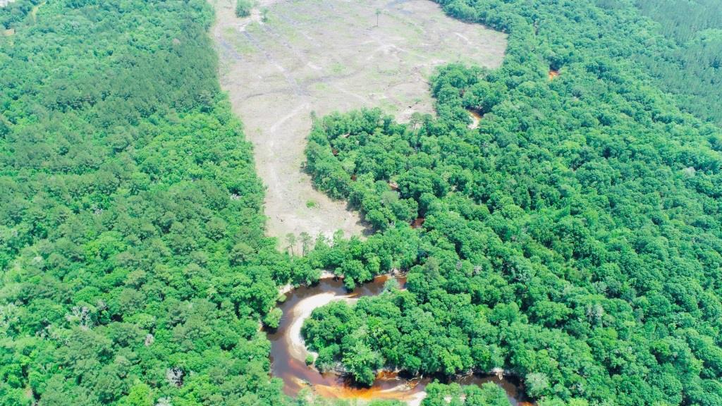 Alapaha River Homeplace Photo