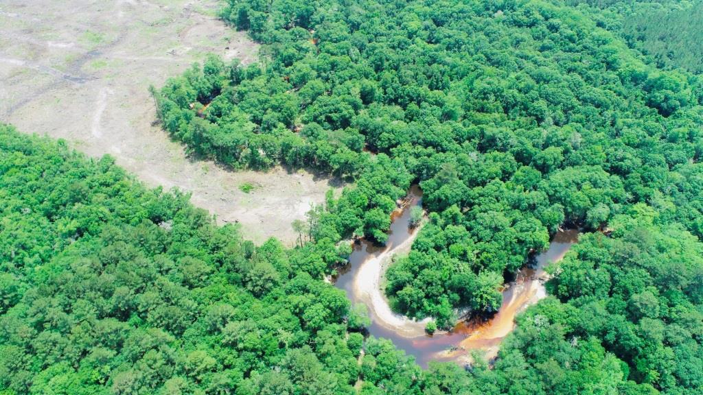 Alapaha River Homeplace Photo