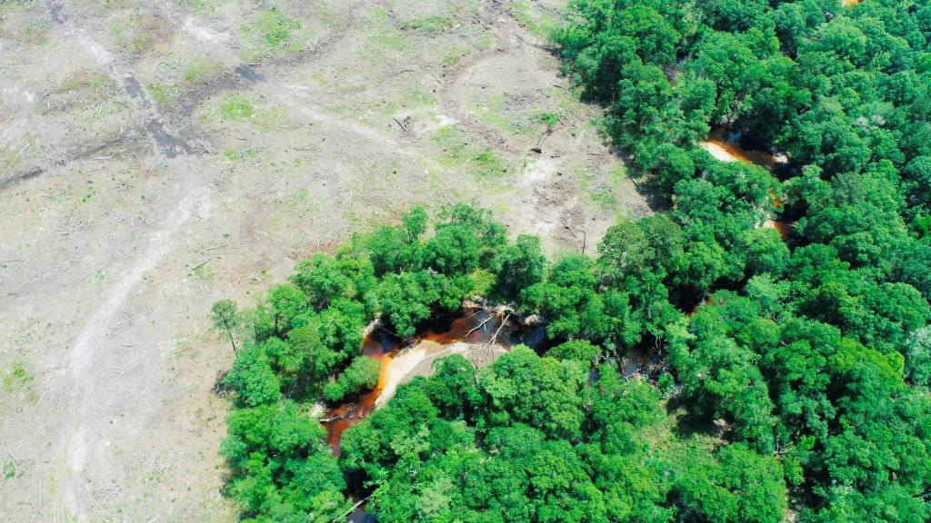 Alapaha River Homeplace Photo