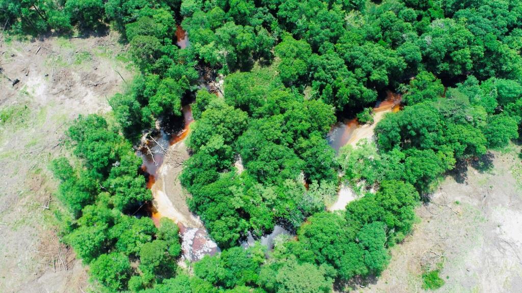 Alapaha River Homeplace Photo